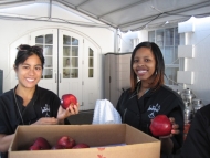 Making those apples shine